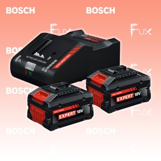 Bosch Professional Expert 2x EXBA18V-80 + EXAL18V-160 Starter-Set