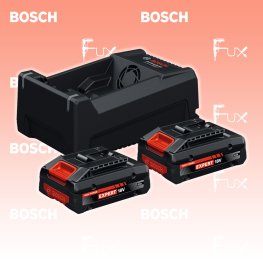 Expert 2x EXBA18V-40 + GAL 12V/18V-80 Starter-Set